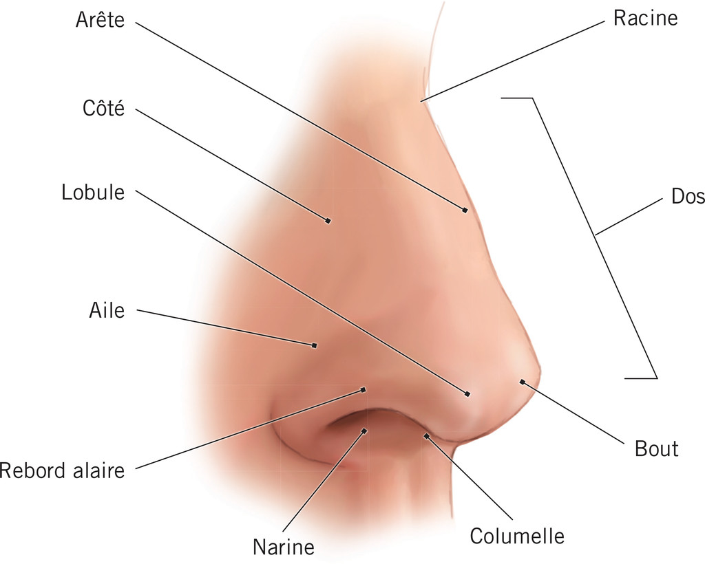 leitfaden-rhinoplastie-türkei