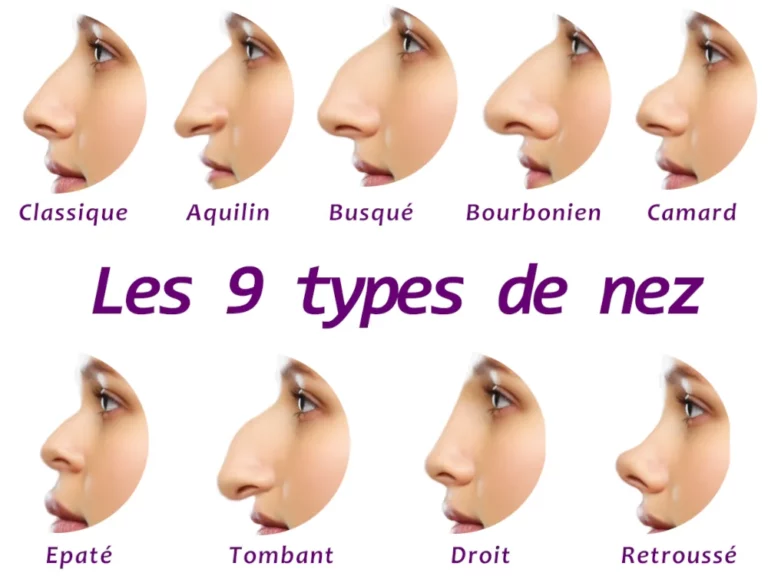 Types de nez